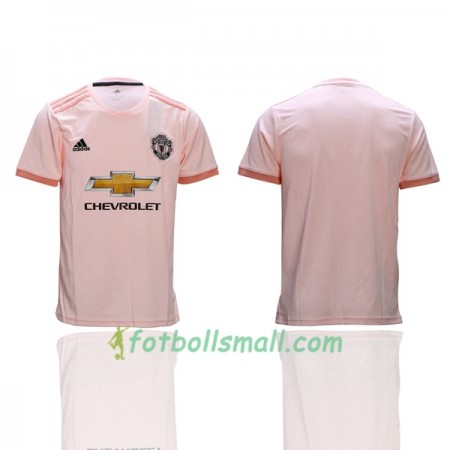 Manchester United Fotbollströjor Borta tröja 2018/19 Kortärmad
